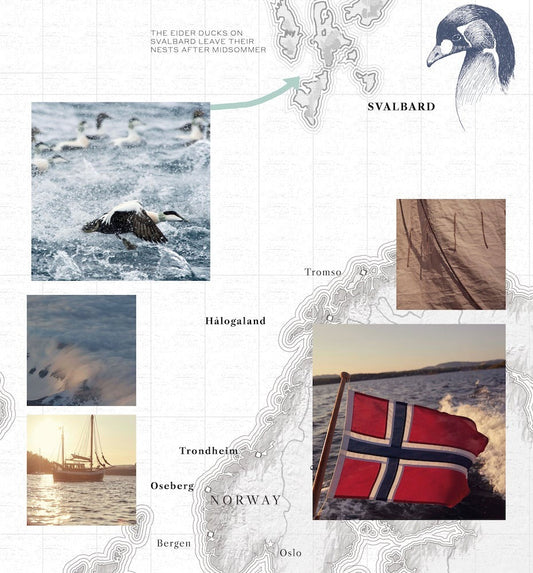 A Journey to the North