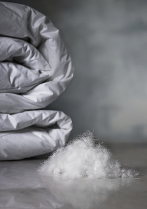 European White Goose, 100% Down Duvet, Fill Power 850