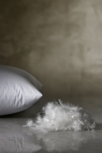 Standard Collection Pillow