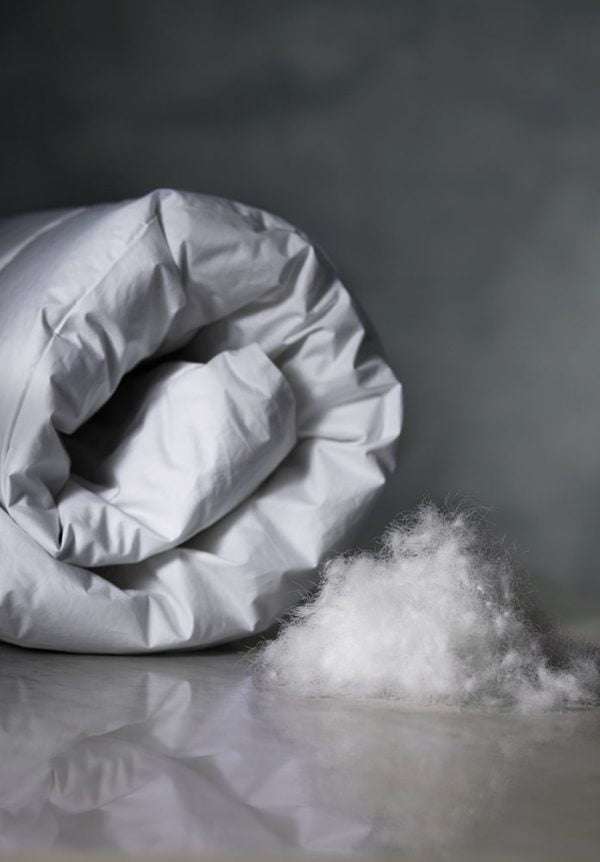 premium plus down duvets