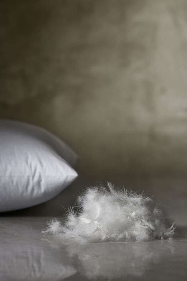 european white goose down pillow