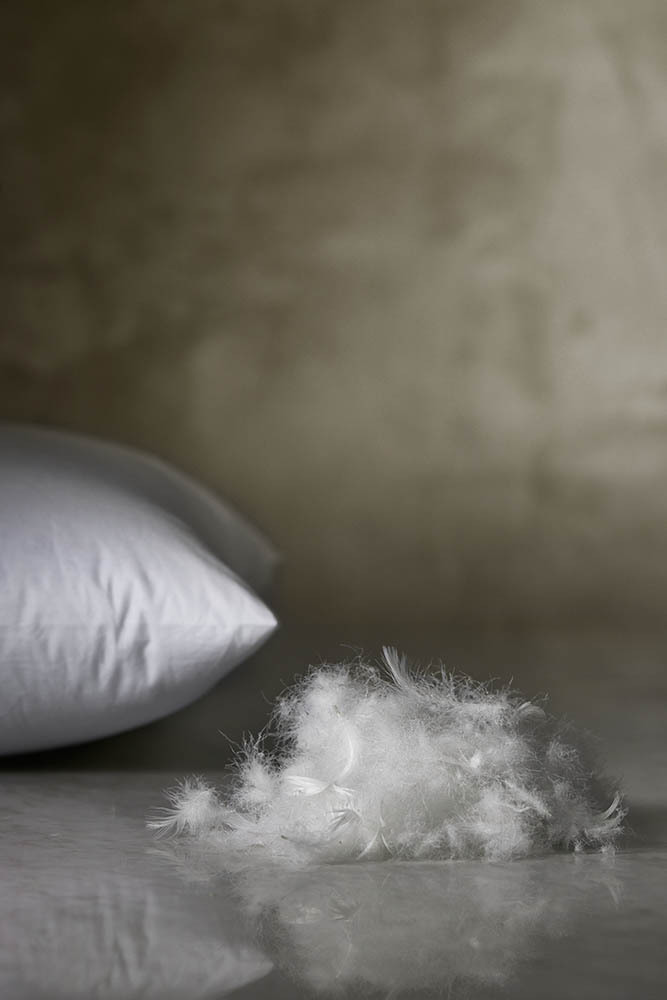 Feather & Down Pillow