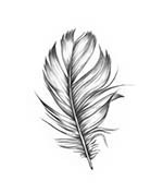 norwegian duvet feather