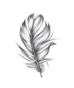 norwegian duvet feathers
